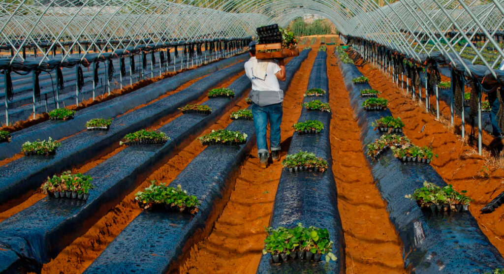 Devolución IRPF SMI | Gestoria en Mataró