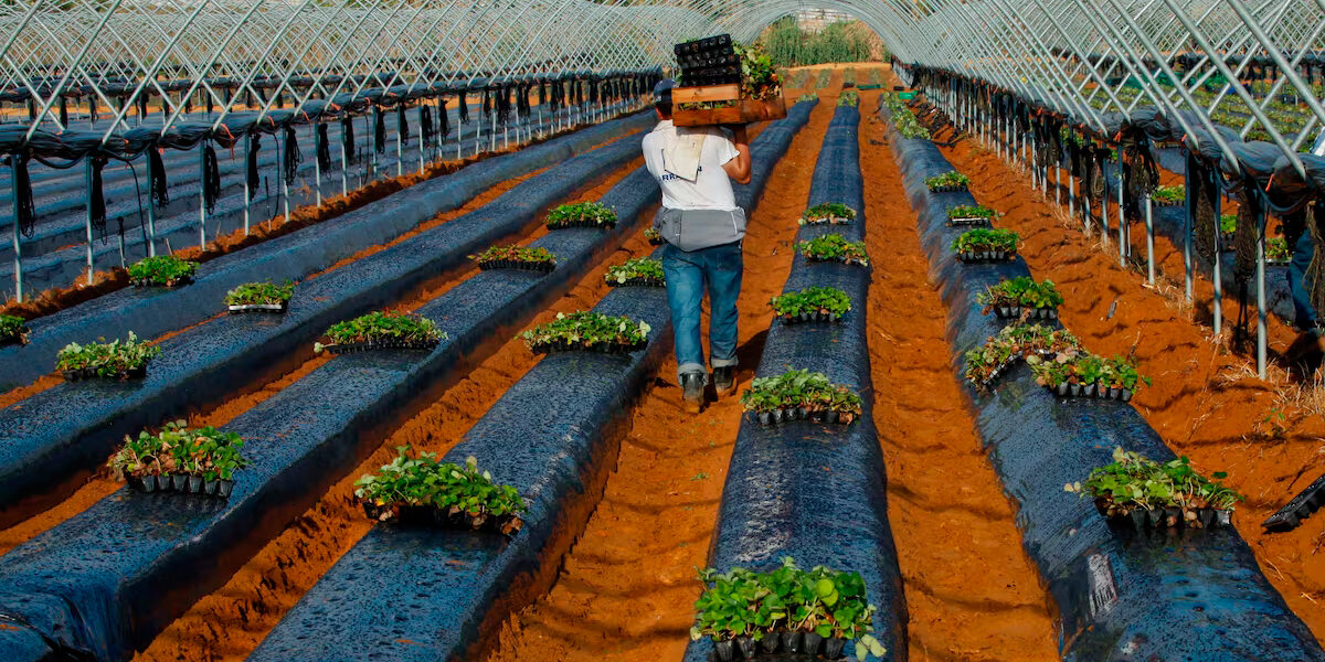 Devolución IRPF SMI | Gestoria en Mataró